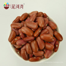 Preço fabricante chinês de feijão vermelho / lentilhas vermelhas / feijão enlatado